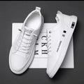 gid://shopify/MediaImage/25707778211910